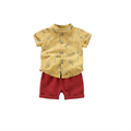 Patterned Mandarin Collar Shirt and Shorts Outfit